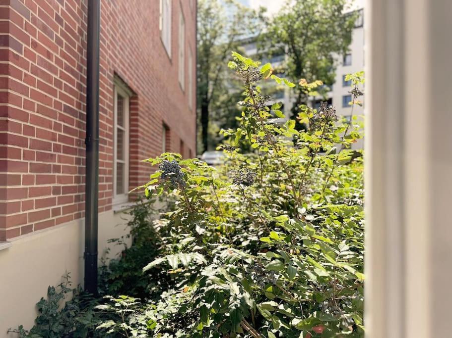 Natural Apartment In The City Center - Old Town 弗罗茨瓦夫 外观 照片