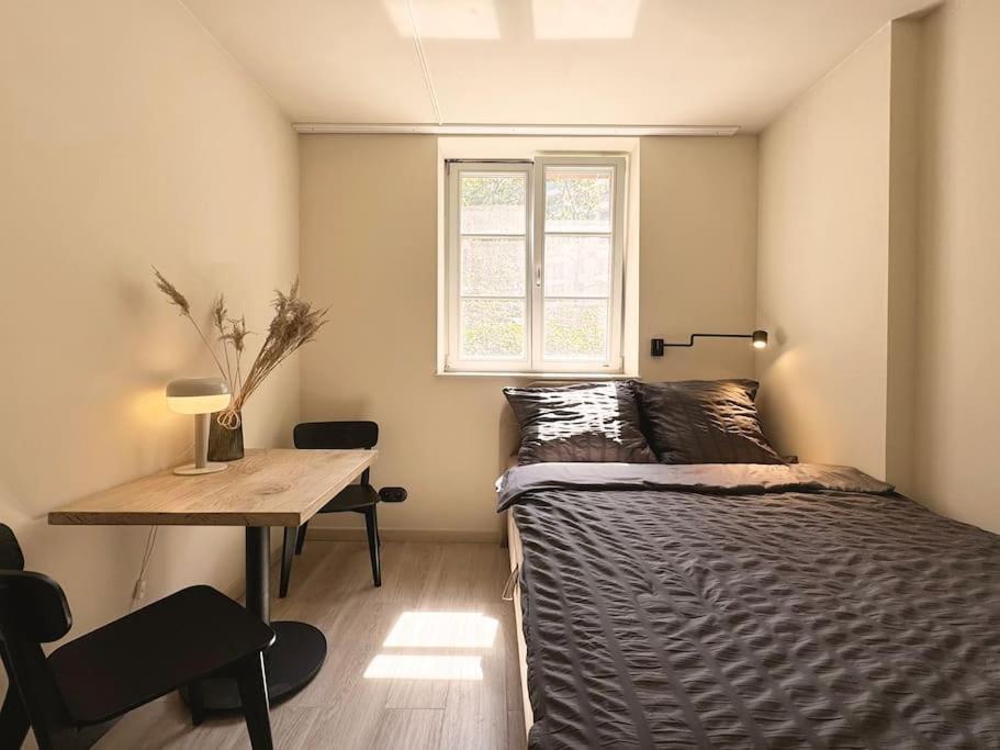 Natural Apartment In The City Center - Old Town 弗罗茨瓦夫 外观 照片
