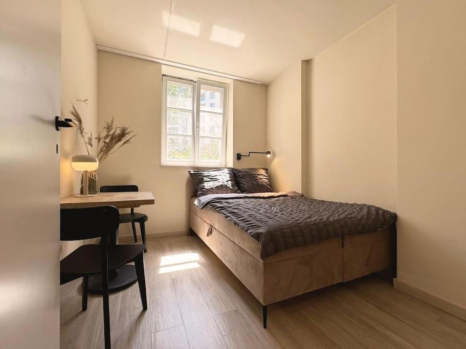 Natural Apartment In The City Center - Old Town 弗罗茨瓦夫 外观 照片